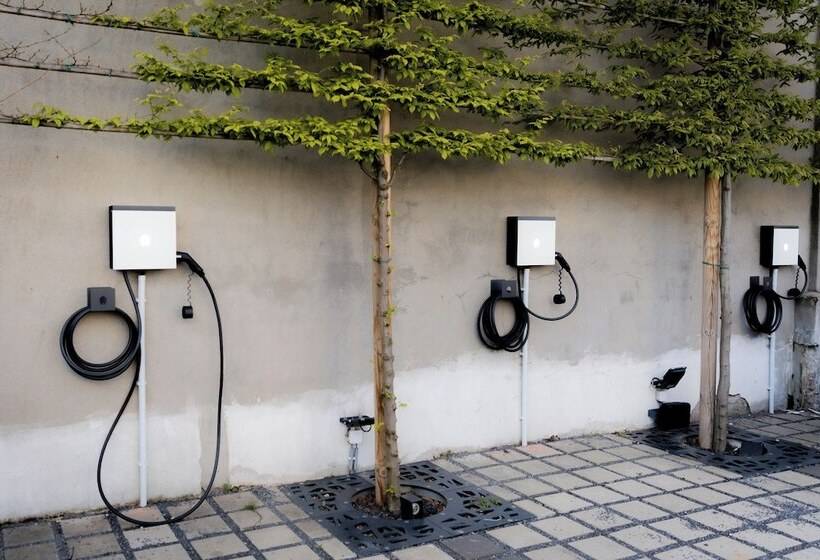 Отель Golden Tree