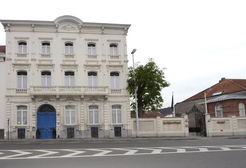 Отель Golden Tree