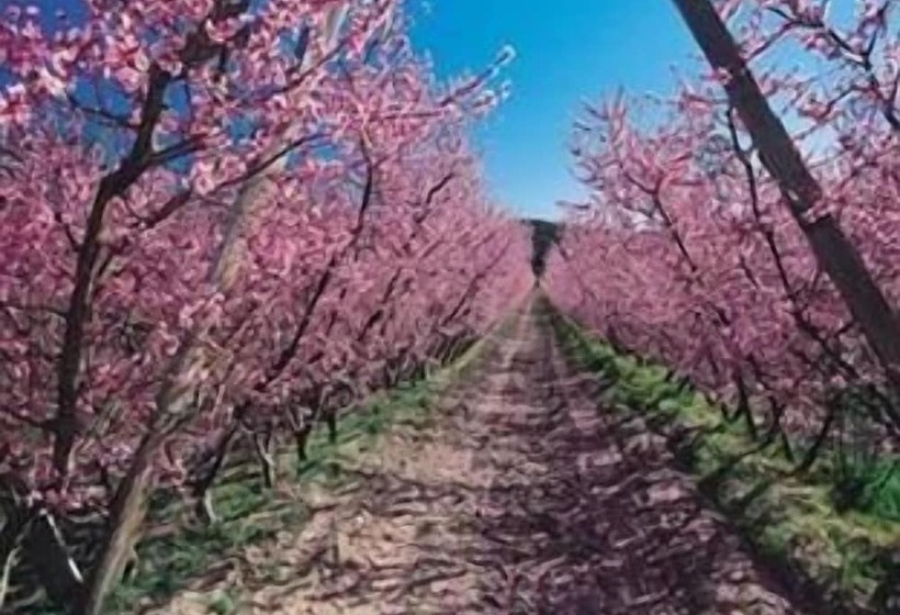 酒店 High Street Motor Inn