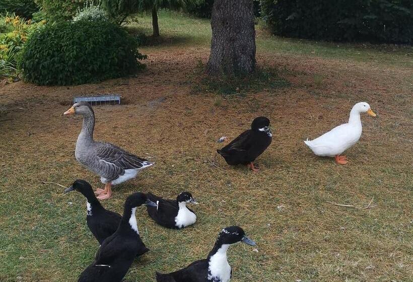 Отель La Cote D Or