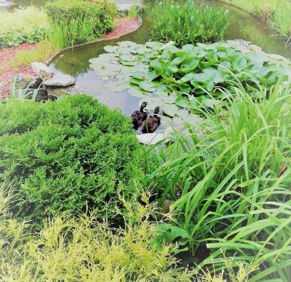 Отель La Cote D Or