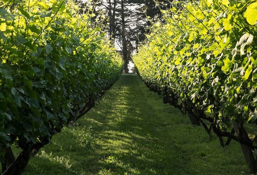 هتل Lancemore Lindenderry Red Hill