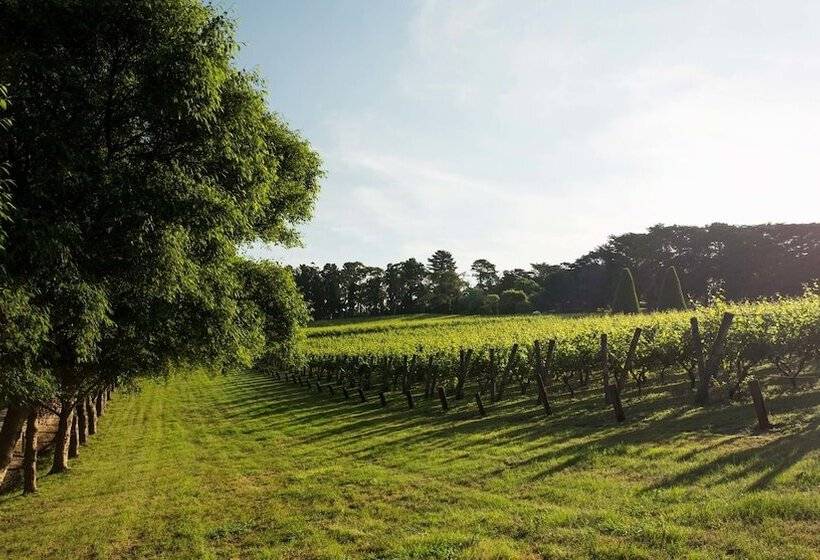 هتل Lancemore Lindenderry Red Hill