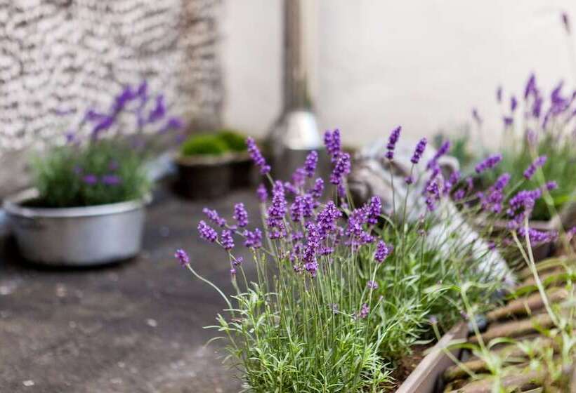 Malecot Hotel By F Hotels