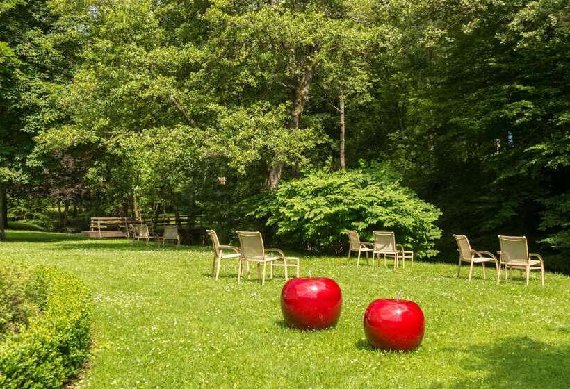 בית מלון כפרי Moulin De Daverdisse