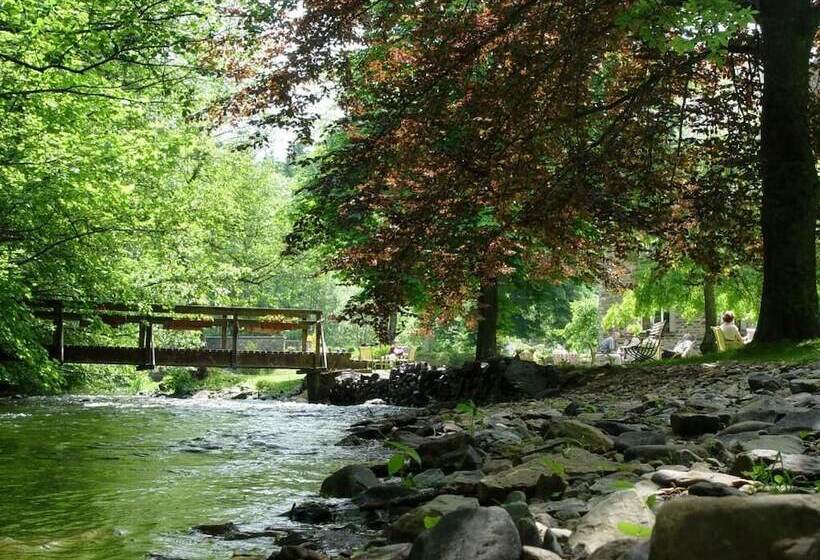 בית מלון כפרי Moulin De Daverdisse