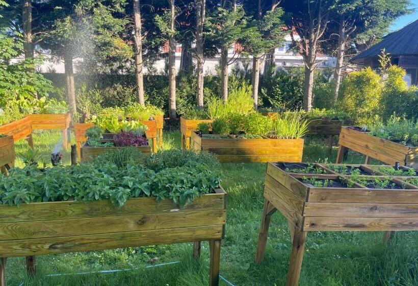 Отель Pavillon Du Zoute