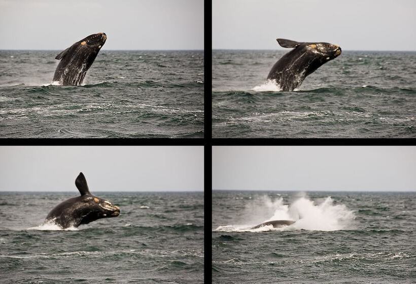 هتل Peninsula Valdes