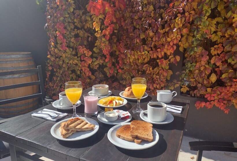 هتل Raices Aconcagua