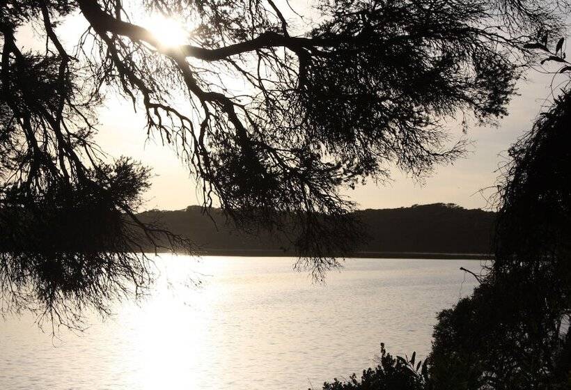 Lakeview Motel And Apartments