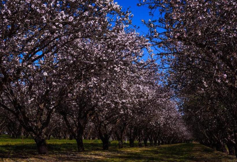 مُتل Renmark Country Club