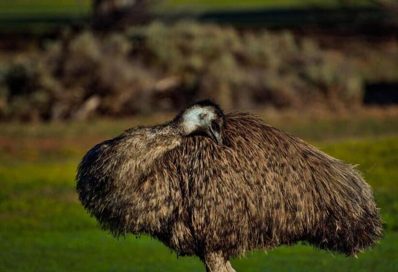 مُتل Renmark Country Club