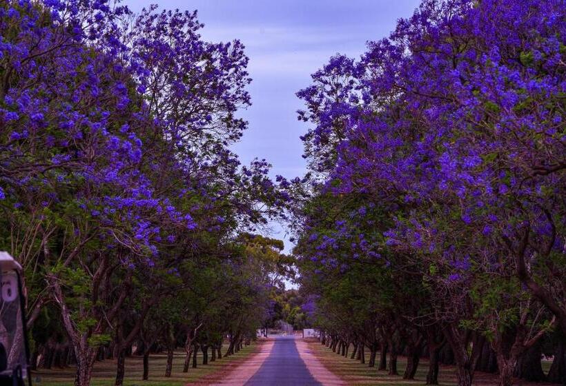 فندق على الطريق Renmark Country Club