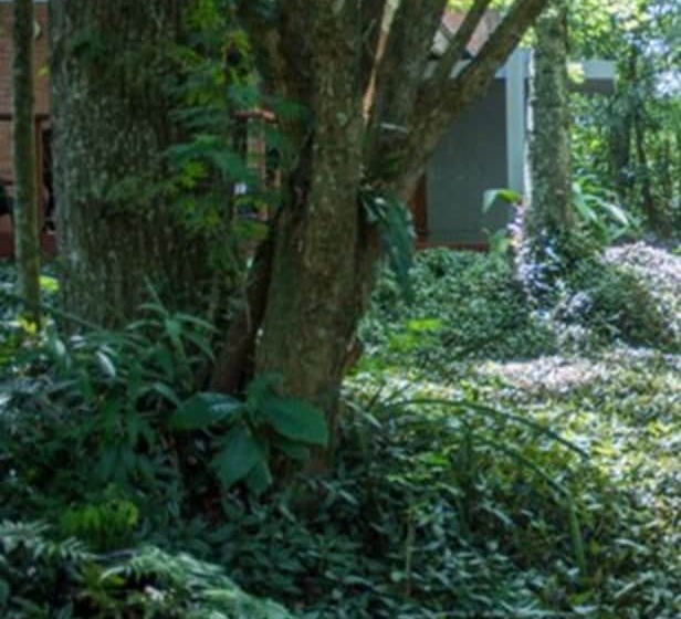 Raices Amambai Lodges