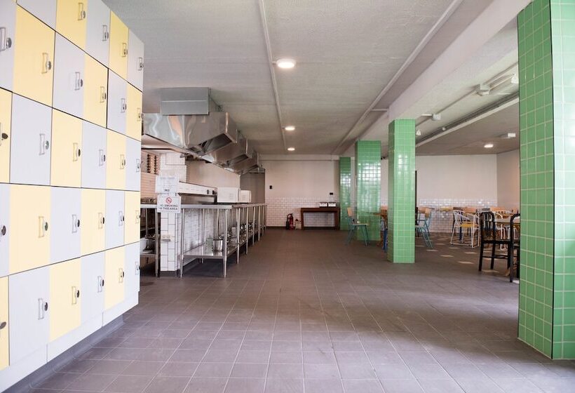 渡假胜地  Bunk Surfers Paradise International Backpacker Hostel