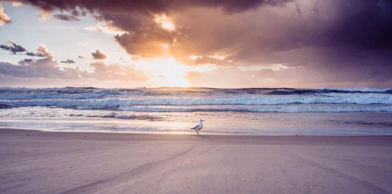 מוטל The Blue Water, Dreamtime Beach