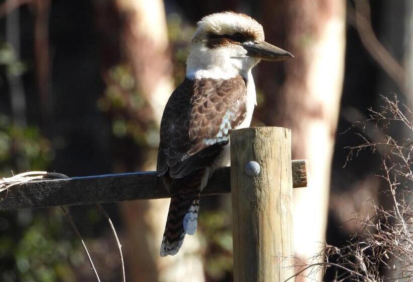 The Bower At Broulee