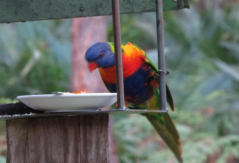 The Bower At Broulee