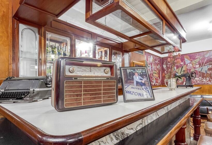 Amazonas Palace Hotel Belo Horizonte   Avenida Amazonas