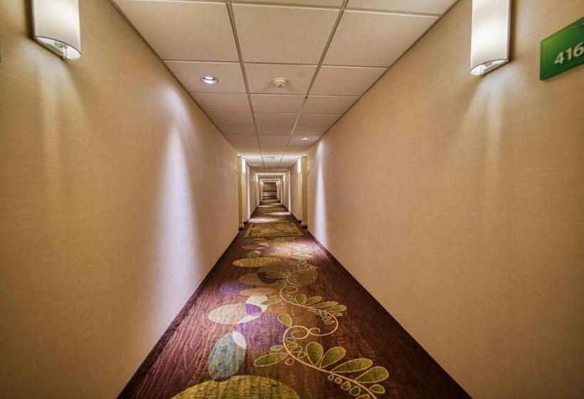 Отель Amenida Residences, Calgary