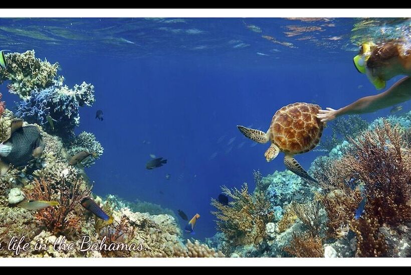 فندق Bell Channel Inn