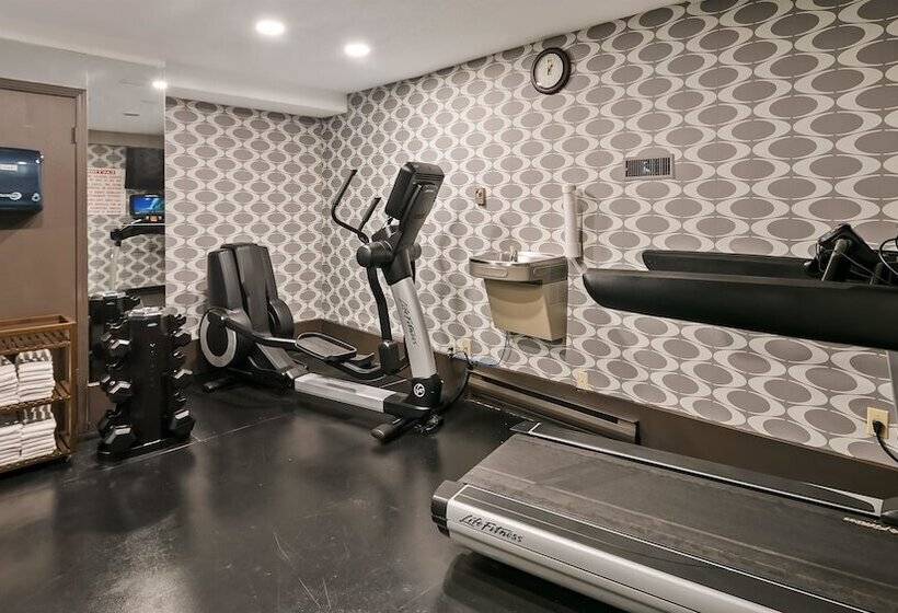 בית מלון כפרי Best Western Airport Inn