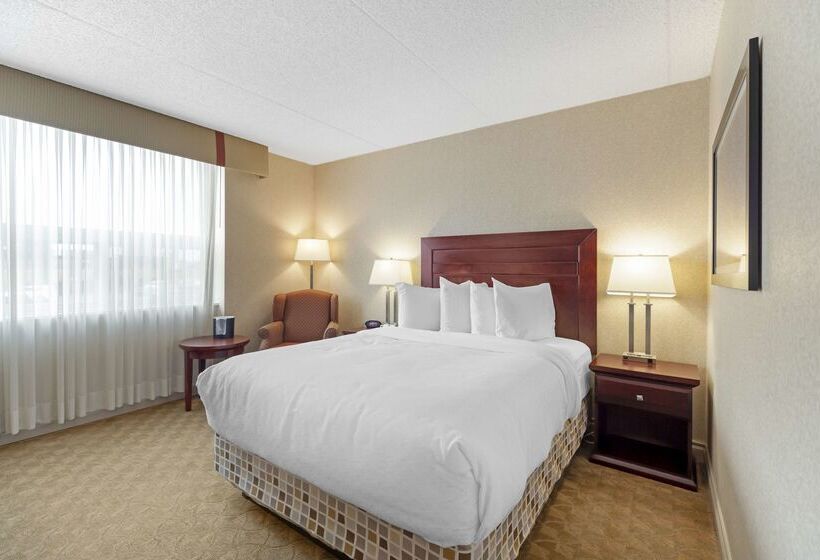 בית מלון כפרי Best Western Plus City Centre Inn