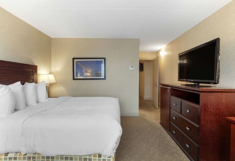 בית מלון כפרי Best Western Plus City Centre Inn