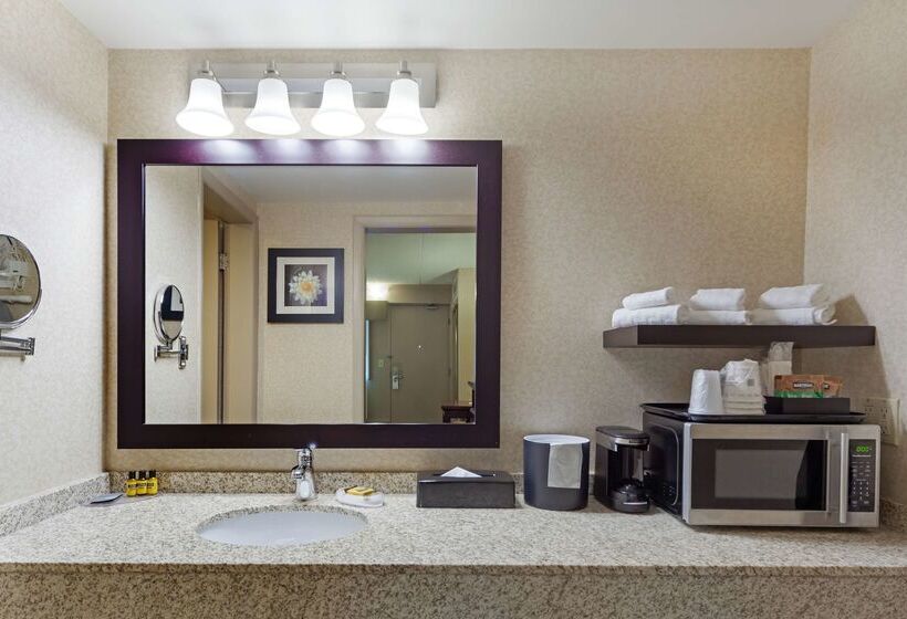 בית מלון כפרי Best Western Plus City Centre Inn