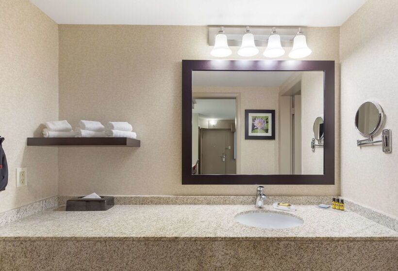 בית מלון כפרי Best Western Plus City Centre Inn