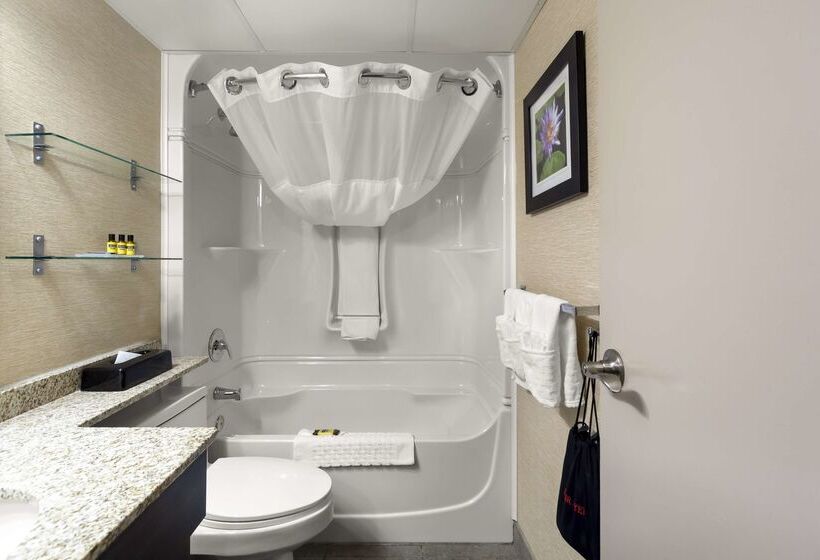 בית מלון כפרי Best Western Plus City Centre Inn