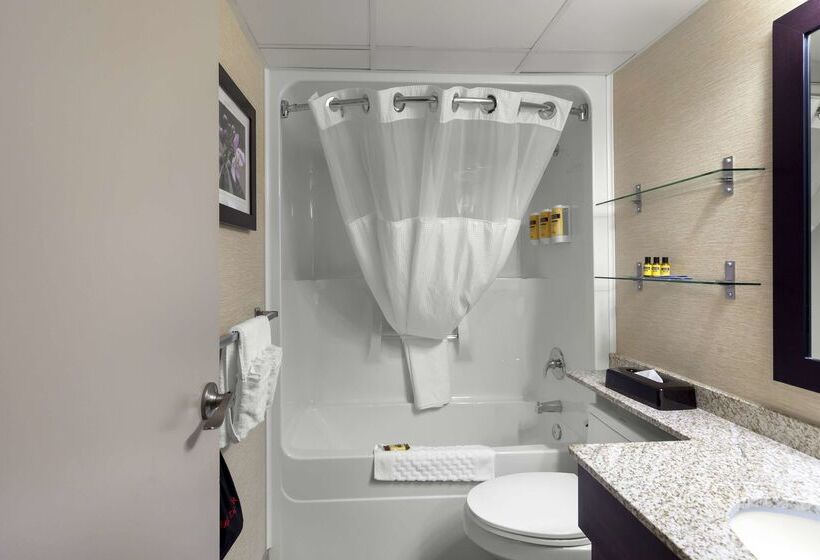 בית מלון כפרי Best Western Plus City Centre Inn