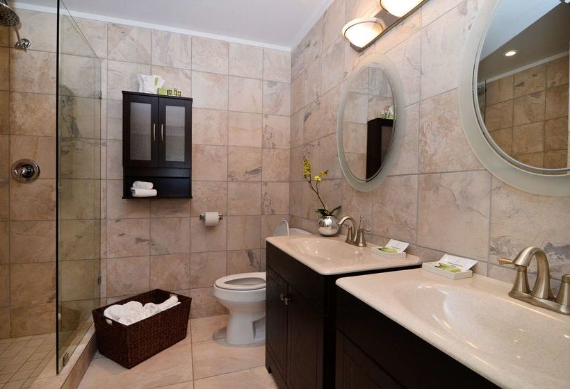 Отель Best Western Plus Regency Inn And Conference Centre