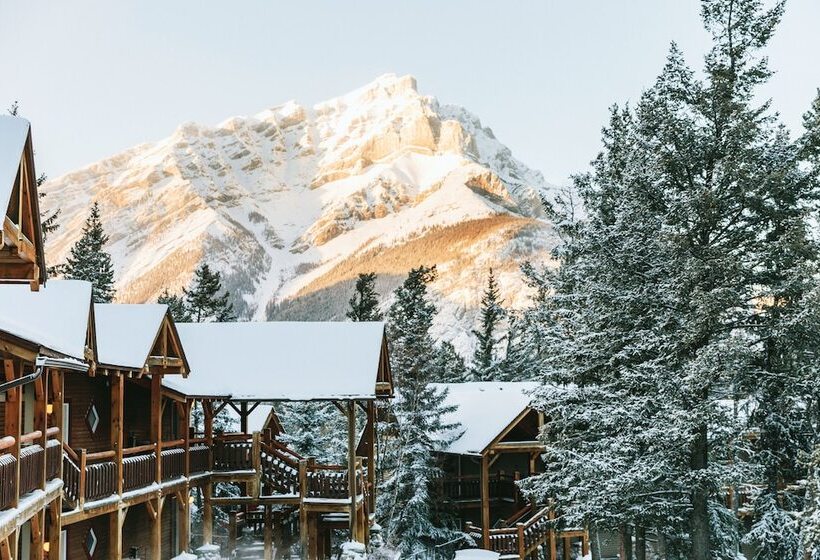 فندق Buffalo Mountain Lodge