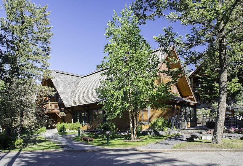 בית מלון כפרי Buffalo Mountain Lodge