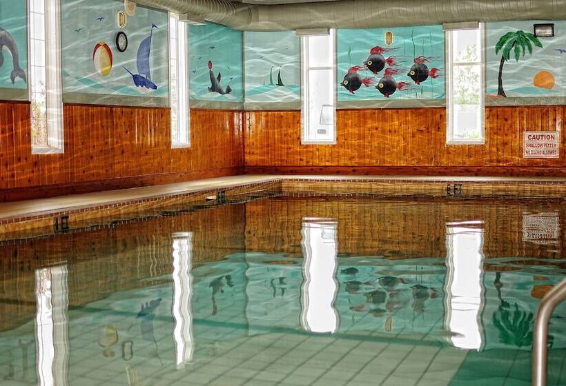 酒店 Claymore Inn And Suites