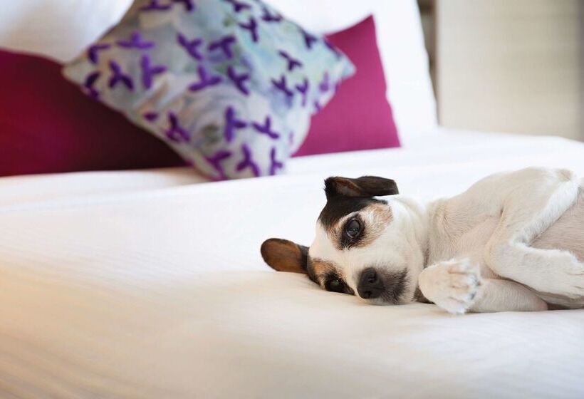 Coast Edmonton Plaza Hotel By Apa