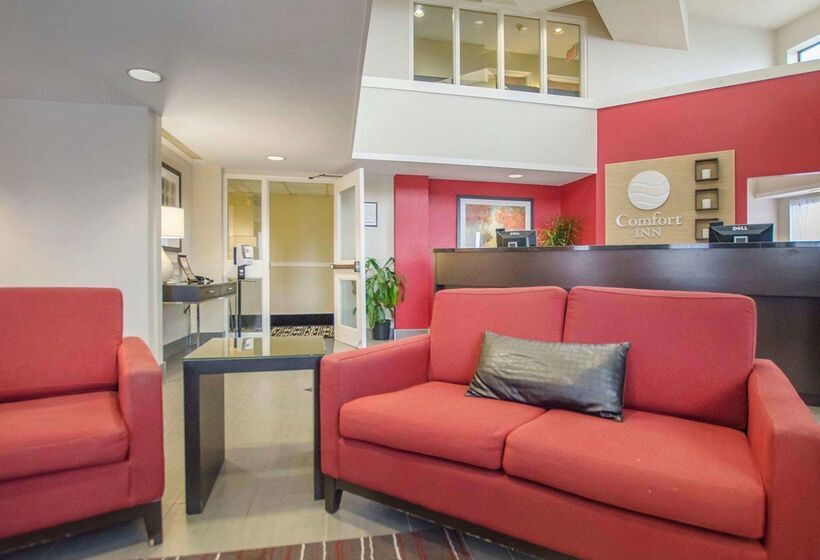 فندق Comfort Inn