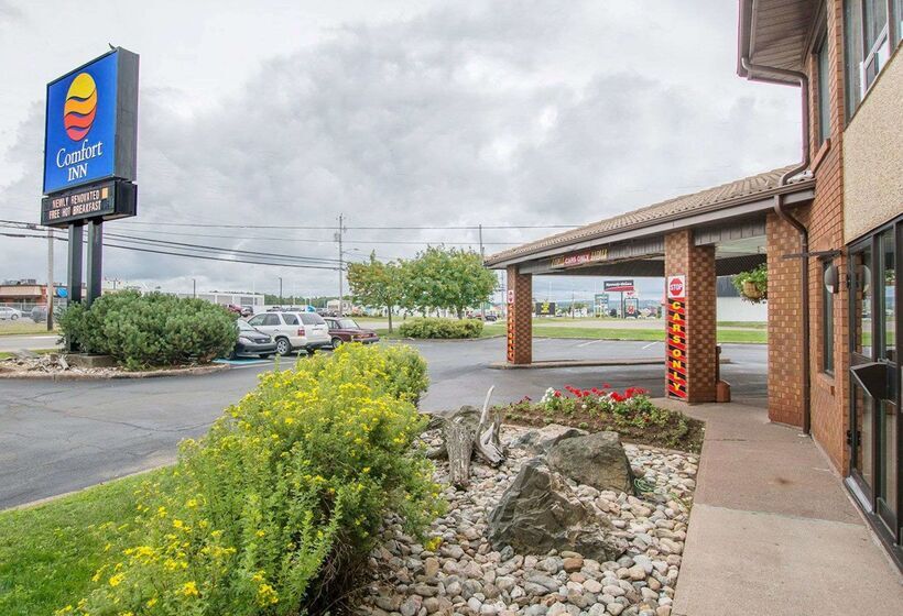 فندق Comfort Inn