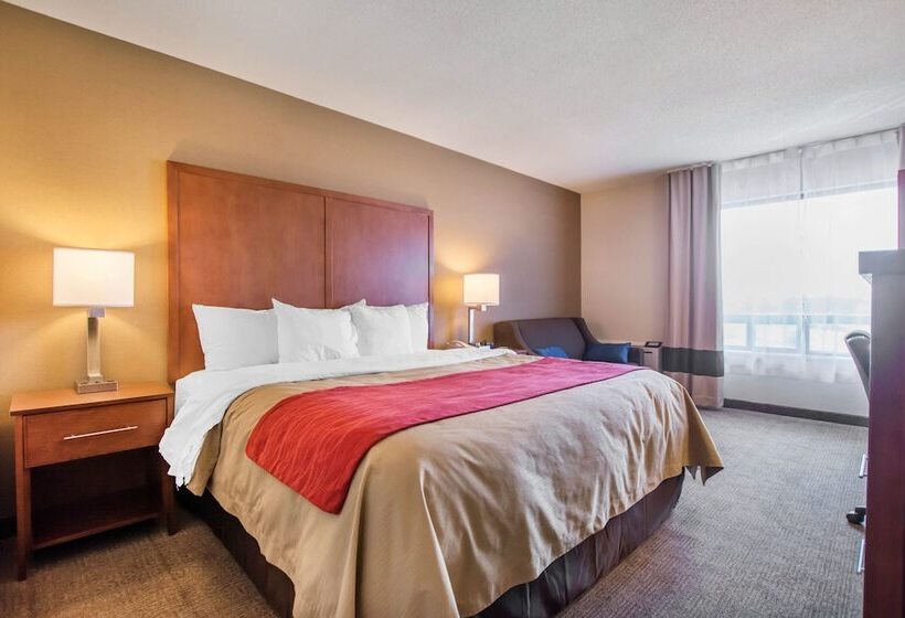 فندق Comfort Inn