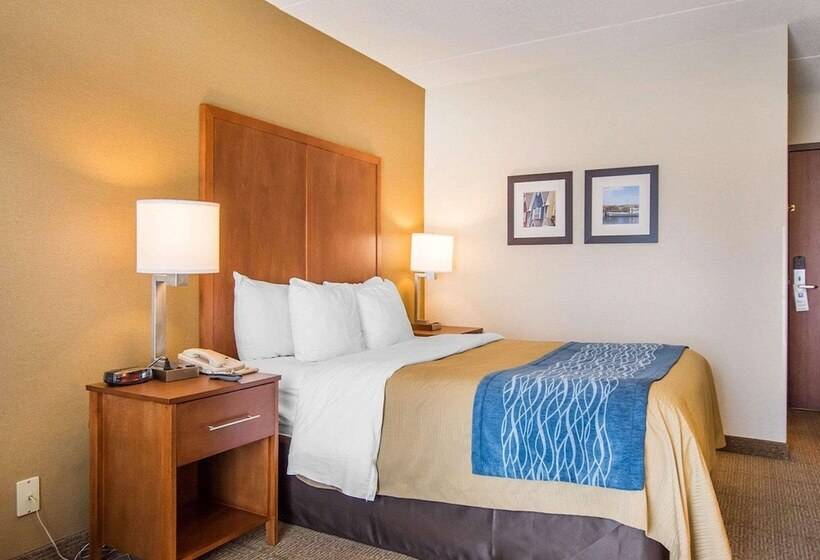 فندق Comfort Inn