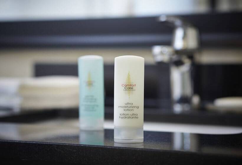 فندق Comfort Inn