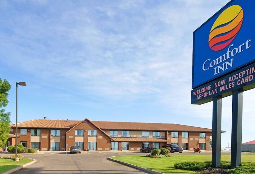 فندق Comfort Inn
