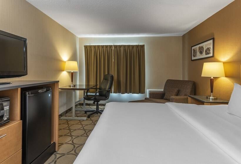 فندق Comfort Inn