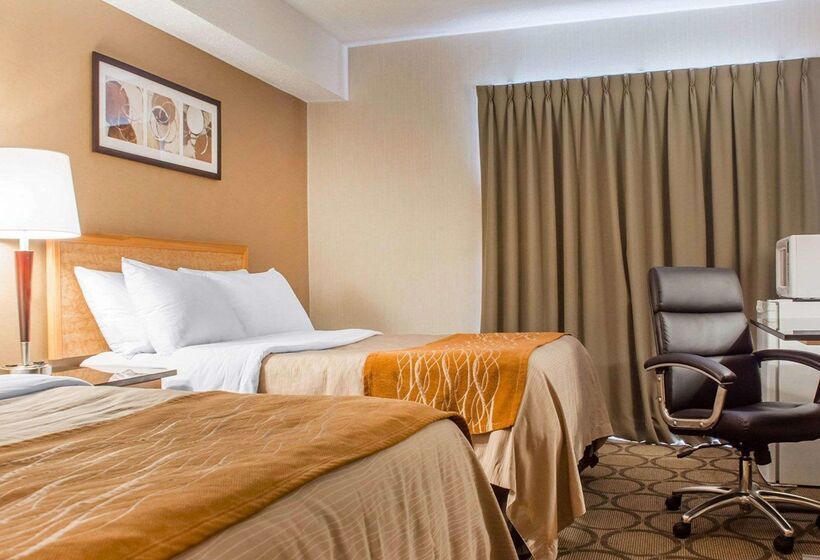 فندق Comfort Inn