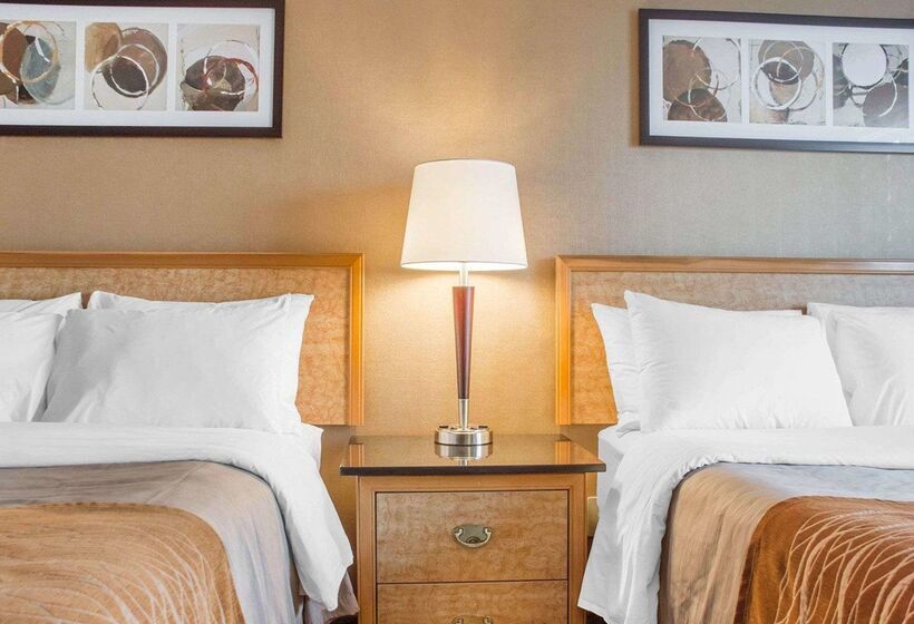 فندق Comfort Inn