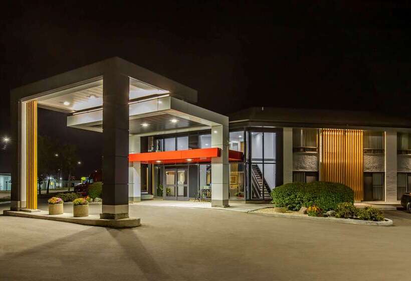 酒店 Comfort Inn South