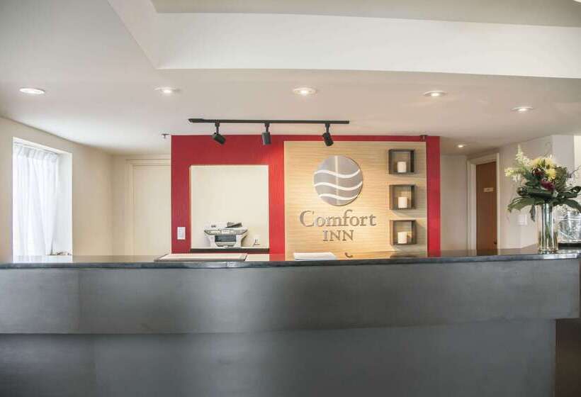 酒店 Comfort Inn South