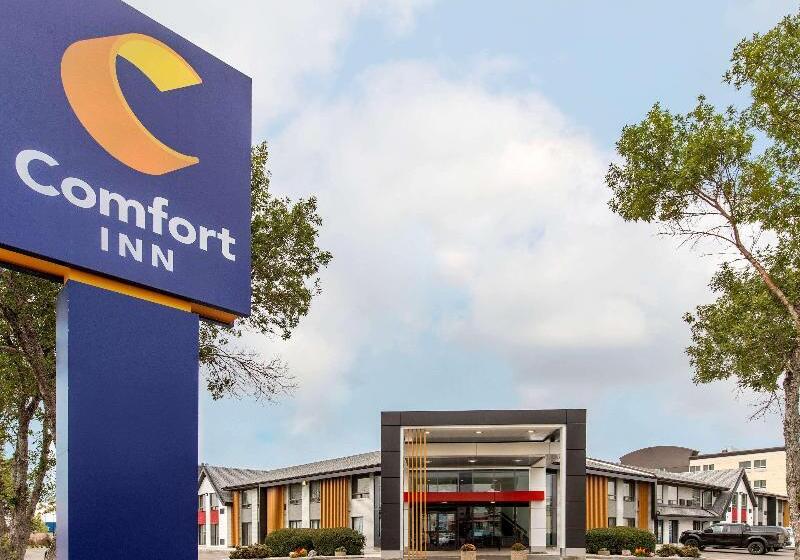 酒店 Comfort Inn South