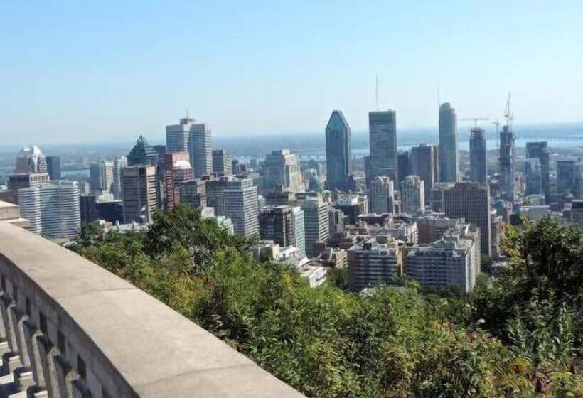 酒店 Comfort Inn South